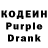 Кодеиновый сироп Lean Purple Drank Sofija Romanova