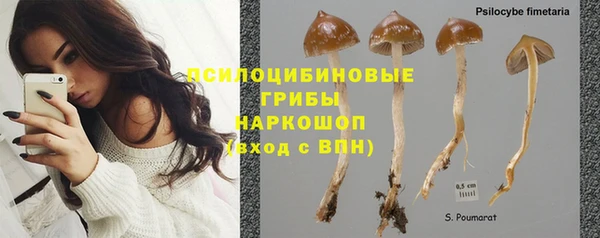 тгк Тайга
