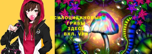 экстази Тавда