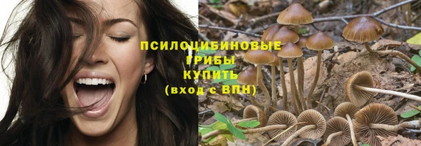 прущая мука Горно-Алтайск