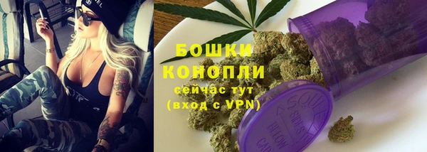 ешки Гусев