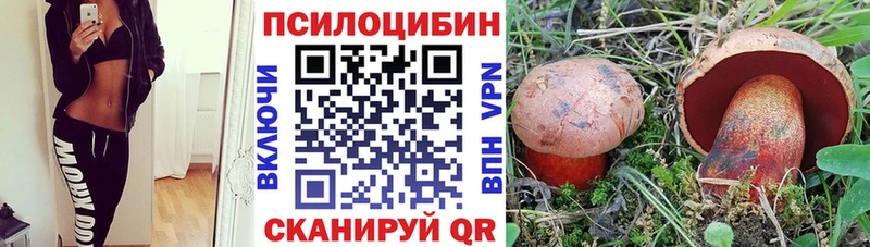 хочу   Ельня  Галлюциногенные грибы Psilocybine cubensis 